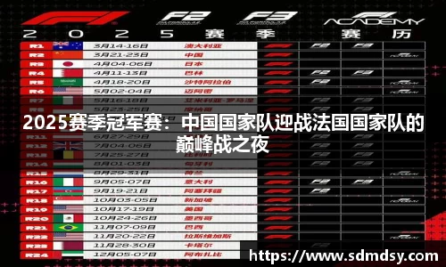2025赛季冠军赛：中国国家队迎战法国国家队的巅峰战之夜