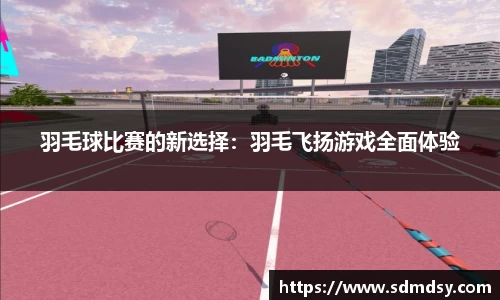 羽毛球比赛的新选择：羽毛飞扬游戏全面体验